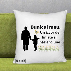 Cadou pentru Bunic - Perna Personalizata Bunicul Meu Izvor de Liniste cu Fluture si Baietel, 40x40 cm, Alb Pufos, Husa Detasabila, Perna Inclusa, BEKZ®