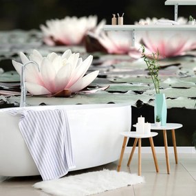 Fototapet autoadeziv floare de lotus