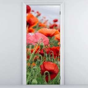 Fototapet pentru ușă - Câmpul cu maci (95x205cm)