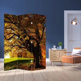 Paravan - Copac toamna (126x170 cm)