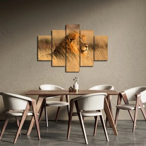 Tablou - Parcul Național Etosha (150x105 cm)