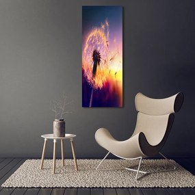 Imprimare tablou canvas Păpădie