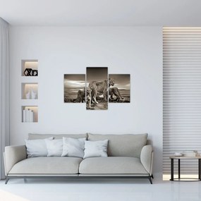 Tablou cu leii alb negri (90x60 cm)