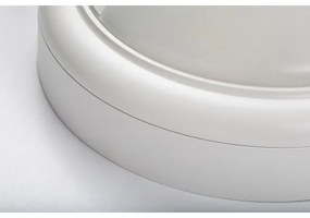 Rabalux 77029 - Aplica LED exterior cu senzor, 15W, 230V, IP54