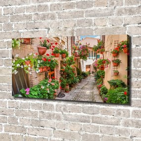 Tablouri tipărite pe pânză Străzile italiene