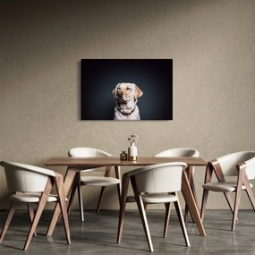 Tablou cu labrador (90x60 cm)