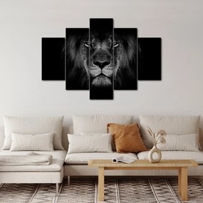 Tablou - Leu majestic (150x105 cm)
