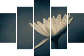 Tablou cu flori (150x105 cm)