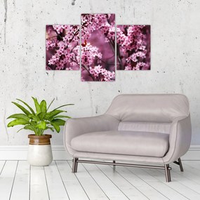 Tablou - Sakura roz (90x60 cm)