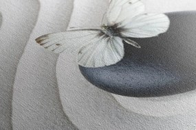 Tablou fluture alb pe piatră neagră