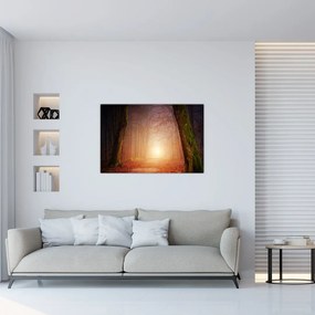 Tablou cu pădurea toamna în ceață (90x60 cm)