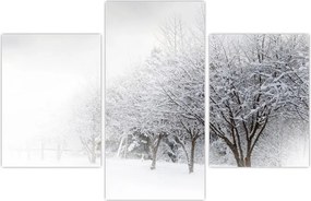Tablou - Aleea de iarnă (90x60 cm)