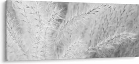 Tablou - Iarbă de pampas N⁰1 (120x50 cm)