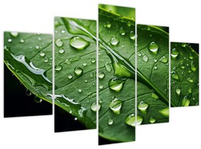 Tablou - Frunză după ploaie (150x105 cm)