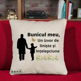 Cadou pentru Bunic - Perna Personalizata Bunicul Meu Izvor de Liniste cu Fluture si Baietel, 40x40 cm, Bej Canapea, Husa Detasabila, Perna Inclusa, BEKZ®