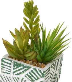 Plante artificiale 3 buc. (înălțime 12 cm) Cactus – Casa Selección