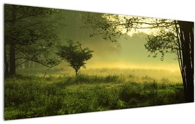 Tablou - Pădurea trezită (120x50 cm)