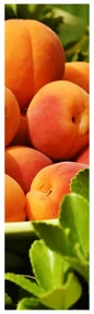 Fotojaluzele R014791R42150 (42x150 cm)