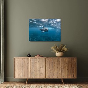 Tablou pe sticlă - Delfin sub apă (70x50 cm)