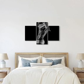 Tablou - Artă masculină (90x60 cm)