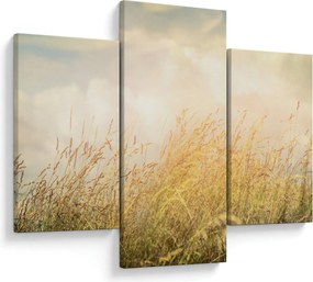Tablou - Câmp toamna (90x60 cm)