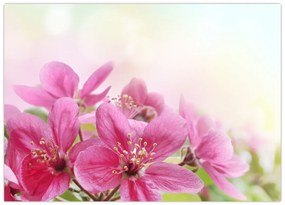 Tablou pe sticlă - Flori roz (70x50 cm)