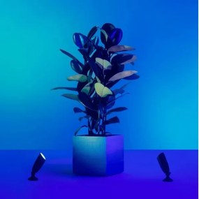 WiZ - Set 2x LED RGBW spot exterior dimabil 10W 230V IP65 Wi-Fi