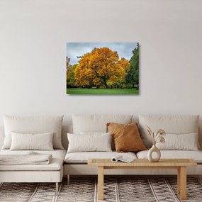 Tablou pe sticlă cu copac (70x50 cm)