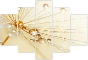 Tablou - Fotografie macro de păpădie (150x105 cm)