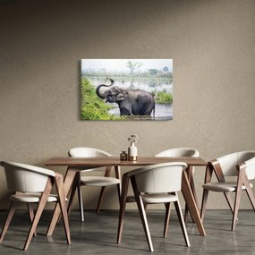 Tablou - Elefant de scăldat (90x60 cm)