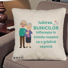 Cadou pentru Bunici - Perna Personalizata Bunicii Iubirea Infloreste Cuplu Senior Teal, 40x40 cm, Bej Canapea, Husa Detasabila, Perna Inclusa, BEKZ®
