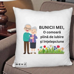 Cadou pentru Bunici - Perna Personalizata Bunicii Mei Comoara Cuplu Senior cu Flori Colorat, 40x40 cm, Alb Pufos, Husa Detasabila, Perna Inclusa, BEKZ®