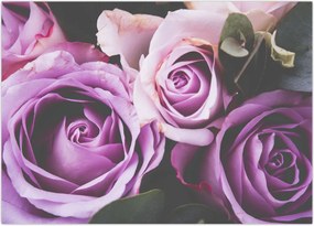 Tablou - Trandafiri (70x50 cm)
