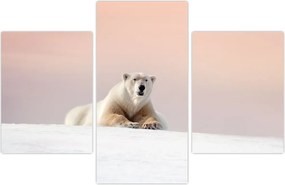Tablou - Urs polar (90x60 cm)