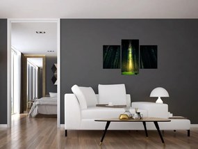 Tablou cu pădurea întunecată (90x60 cm)
