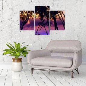 Tablou - Copaci la apus de soare (90x60 cm)