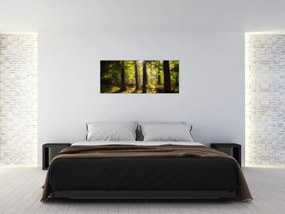 Tablou - Pădurea de vis (120x50 cm)