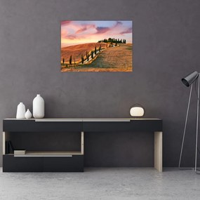 Tablou - Casa pe deal Toscana, Italia (70x50 cm)