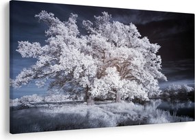 Tablou - Albă ca Zăpada Copac (90x60 cm)