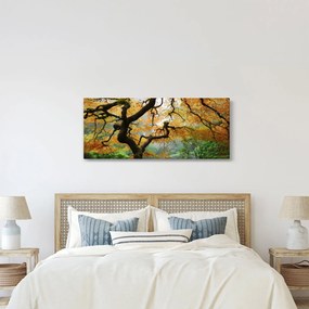 Tablou - Arțarul japonez galben, Portland, Oregon (120x50 cm)