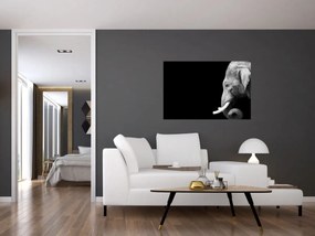 Tablou - Elefant (90x60 cm)