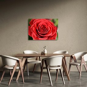 Tablou pe sticlă - Flori de trandafir (70x50 cm)