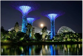 Tablou cu lună plină în grădinile din Singapur (90x60 cm)