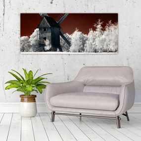 Tablou cu moară (120x50 cm)