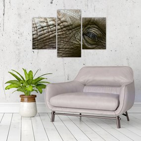 Tablou - Prim-planul ochiului de elefant vechi (90x60 cm)