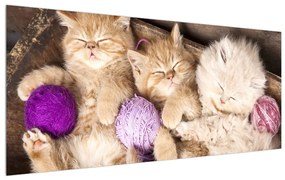 Tablou cu pisicuțe dormind (120x50 cm), în 40 de alte dimensiuni noi