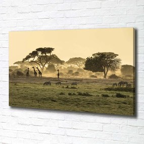 Imprimare tablou canvas Girafele pe savana