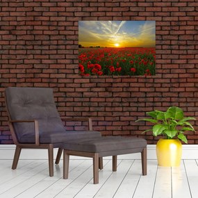 Tablou cu câmp cu maci (70x50 cm)