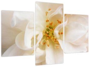 Tablou - Floare (90x60 cm)