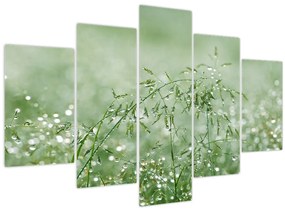 Tablou - Roua dimineții pe firele de iarbă (150x105 cm)